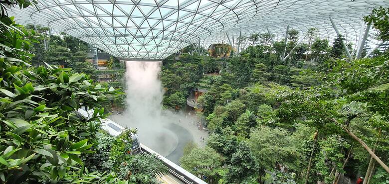 Na lotnisku Changi w Singapurze rośnie rozległy ogród botaniczny, w którym można poczuć się jak w prawdziwej dżungli.Zdjęcie na licencji CC BY-SA 4.
