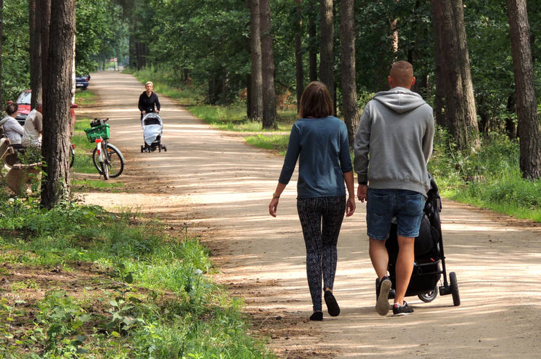 Ścieżka rekreacyjna w Lasku Bielańskim, zrealizowana w ramach budżetu obywatelskiego w Toruniu