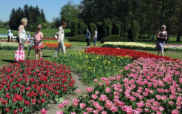 Po kolekcji rozkwitających wiosną tulipanów skansen będzie kolejną atrakcją łódzkiego 
