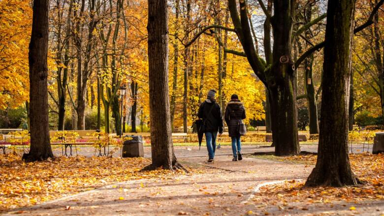 Dwie kobiety w parku jesienią