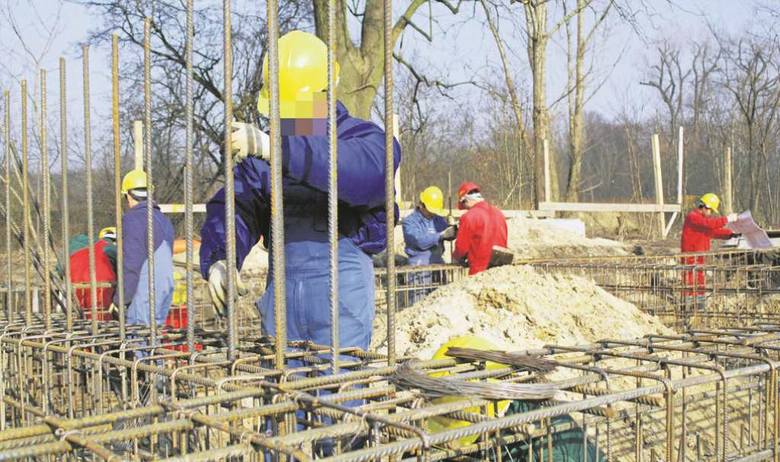 Ukraińcy zatrudniali się dotąd w Polsce głównie w rolnictwie, usługach i budownictwie