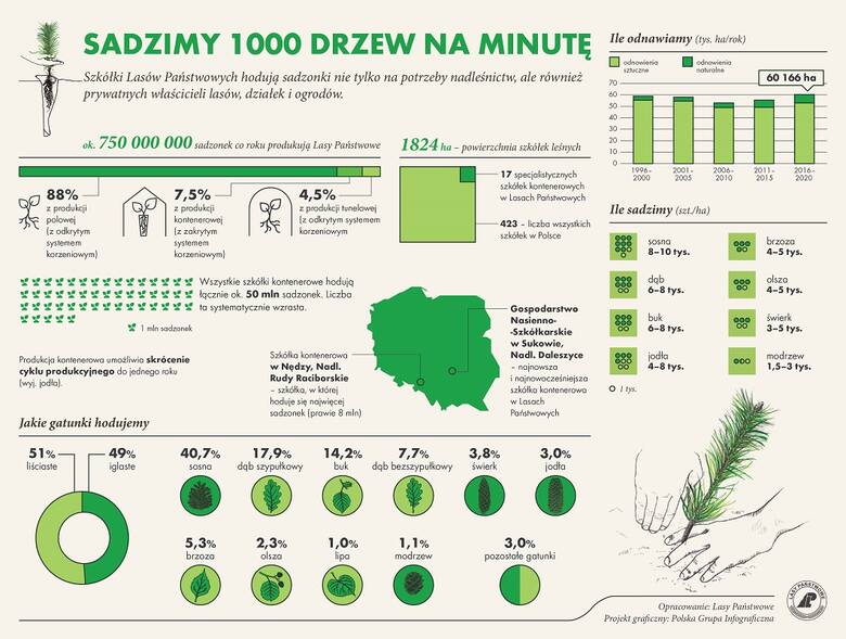 Akcja #sadziMY w Tarnobrzegu i Stalowej Woli. Leśnicy będą rozdawać sadzonki drzew 