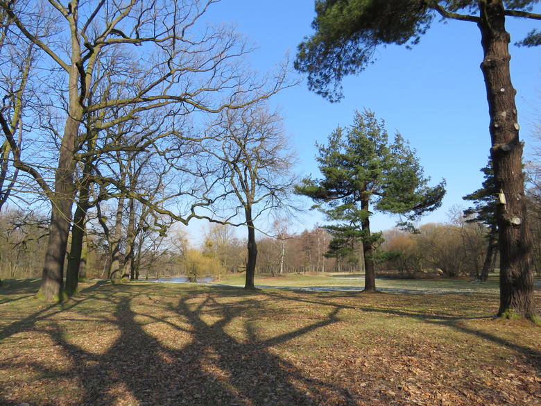 Park w Świerklańcu