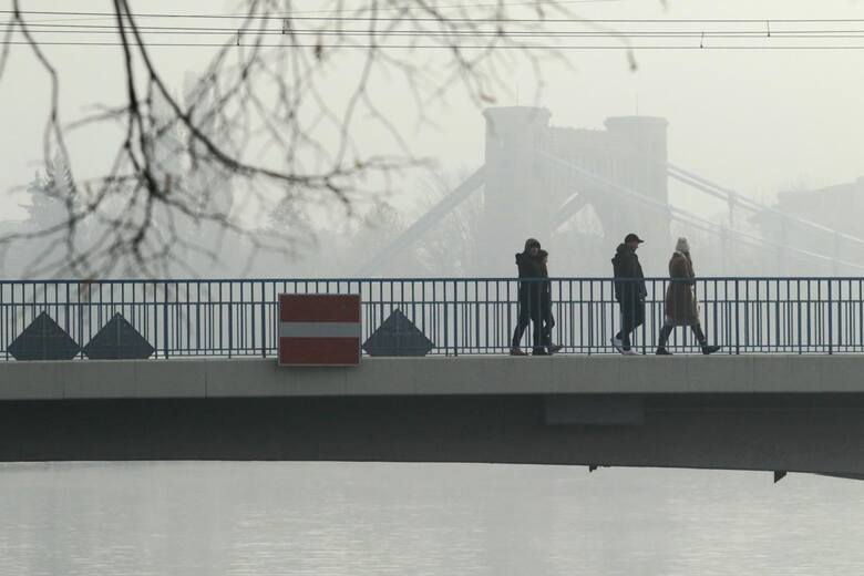 Smog i zanieczyszczenie powietrza to poważny problem w całej Polsce, zwłaszcza w jej południowej części. Miasteczka Małopolski i Śląska stale zwyciężają