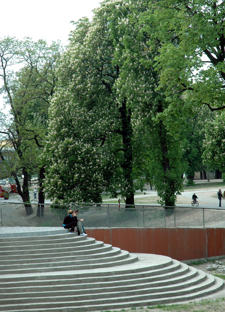 Park Dąbrowskiego położony jest w samym centrum miasta, między ul. Ogrodową, Ratajczaka, Półwiejską i Starym Browarem