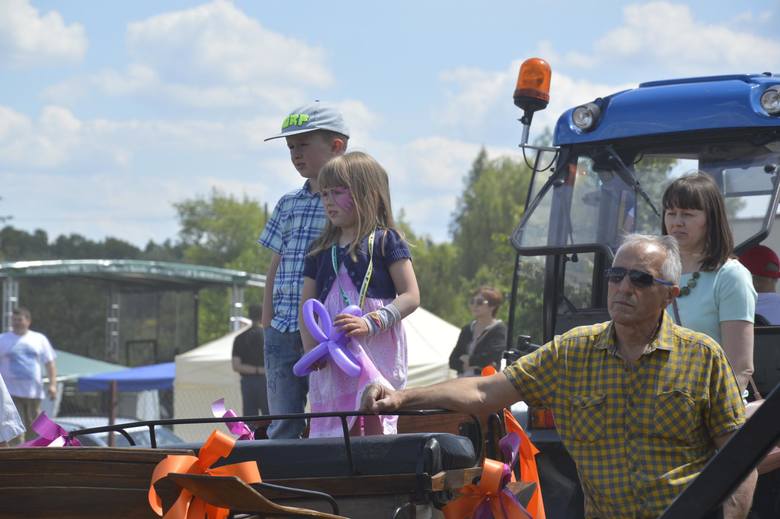 Piknik rodzinny w ZSP nr 2 w Łowiczu (Zdjęcia)