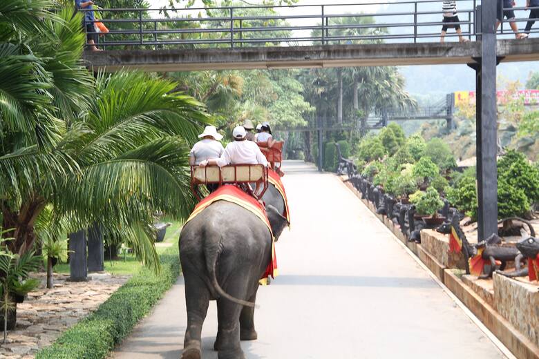 Park tropikalny Nong Nooch Village przyciąga turystów z całego świata. Można tu oglądać rozległe ogrody, pełne egzotycznych roślin i zwierząt.Zdjęcie