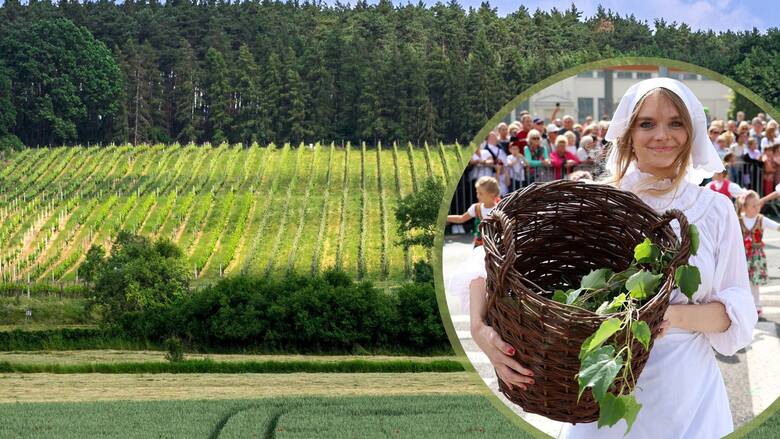 Przez Ziemię Lubuską przebiega jedyny w Polsce Szlak Wina i Miodu. Na ponad 200-kilometrowej trasie znajdziemy bujne winnice, lokalne muzea oraz gospodarstwa