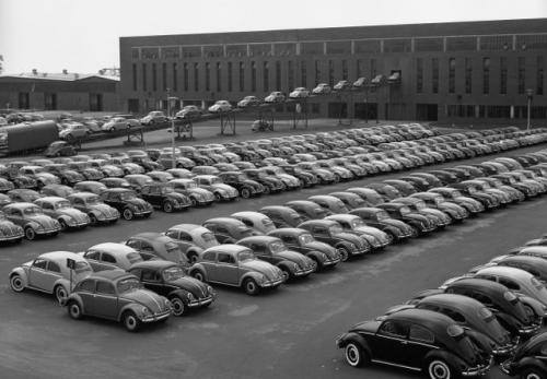 Fot. VW: W 1955 r. wyprodukowano milion Garbusów.