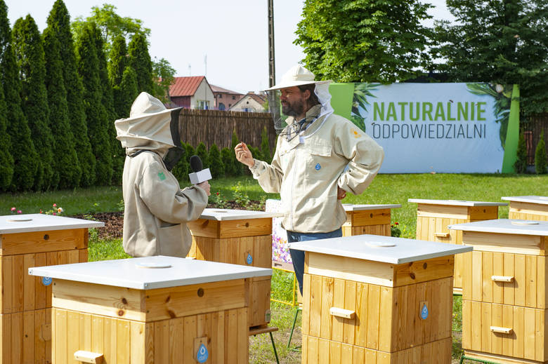 Co słychać w firmowej pasiece Dafi w Kielcach? Pszczoły mają tu dobre warunki do życia. Niebawem rozpoczną się przygotowania do zimy