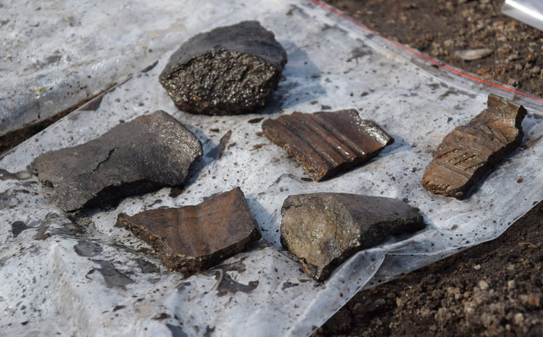 Fragmenty ceramiki znalezione podczas badań archeologicznych w Grodziszczu koło Świebodzina.