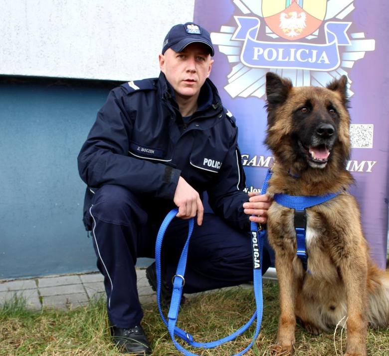 Policyjny pies Kozik pomógł odnaleźć zaginionego mieszkańca powiatu łowickiego