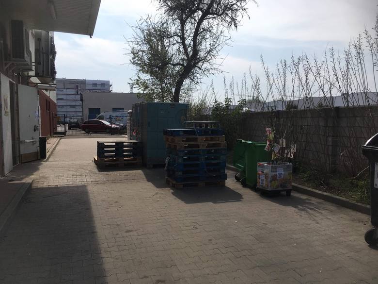 Sadzonki i kwiaty zostały wyrzucone do pojemnika na bioodpady sklepu Biedronki przy ul. Strzeszyńskiej