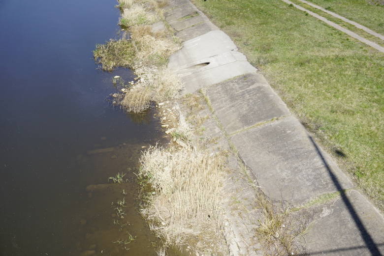 Stan wody w Poznaniu na wodowskazie przy moście Rocha wyniósł we wtorek, 7 kwietnia, o godz. 6 - 164 cm. Rok temu tego samego dnia zanotowano stan o 22 cm wyższy - 186 cm. W podobnym okresie w roku 2018 na Warcie w Poznaniu stan wody był prawie dwukrotnie wyższy niż aktualnie – 290 cm.