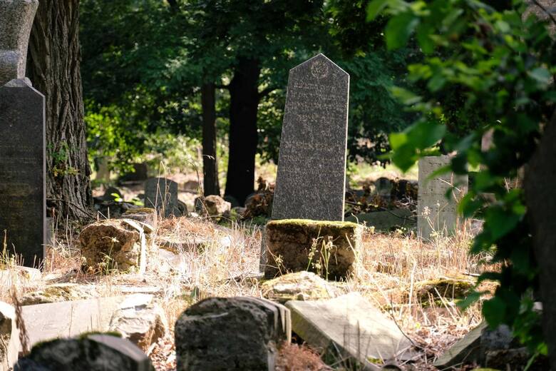 Oprowadzanie po białostockim cmentarzu Bagnówka przez prof. Heidi Szpek-Idzikowski, emerytowaną profesor religioznawstwa na Central Washington University.<br /> <br /> Założony został w 1891 roku.