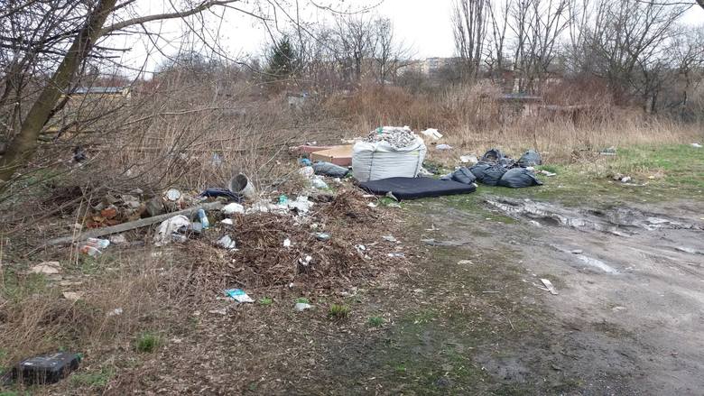 W Łodzi mnóstwo jest miejsc, które wyglądają, jak wysypiska śmieci 