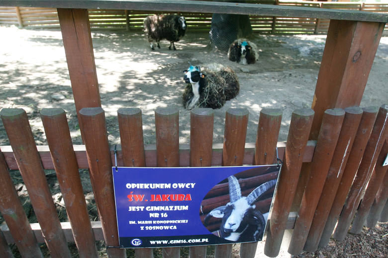 Zwierzęta ze śląskiego zoo wypatrują sponsora