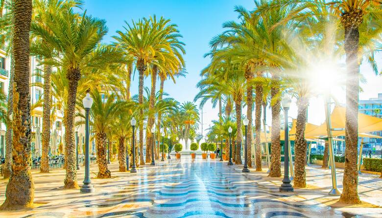 Promenada z palmami w Alicante