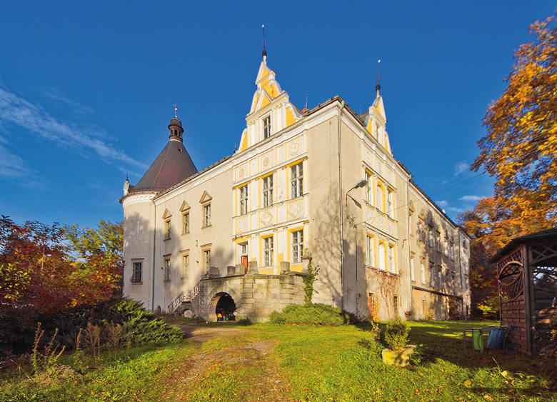 Pałac w Czernicy jest dziś własnością prywatną. Jest jednak możliwość jego zwiedzenia, po uprzednim umówieniu się z właścicielem rezydencji