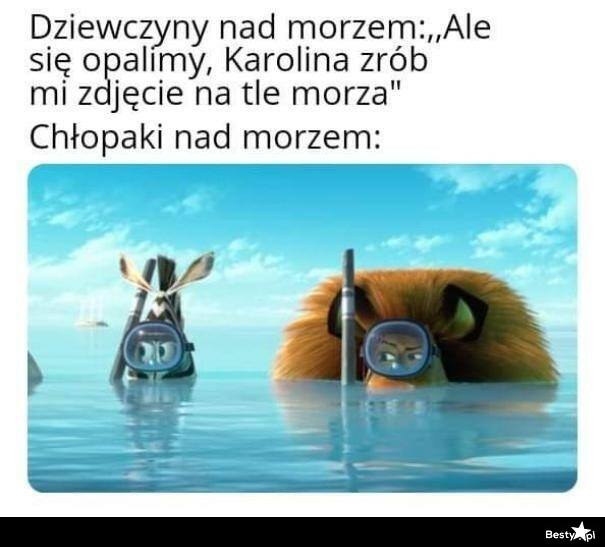 Najlepsze Memy O Baltyku Zobacz Z Czego Zartuja Internauci 30 06 2021 Dziennikbaltycki Pl