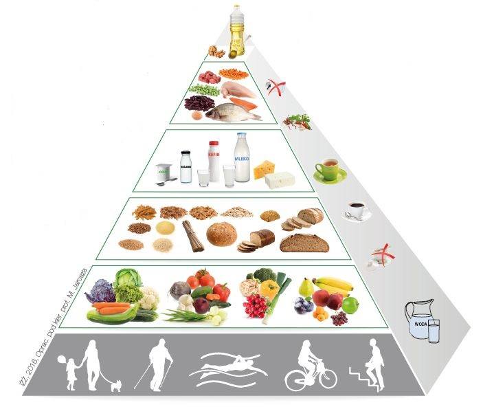 piramida żywieniowa, WHO