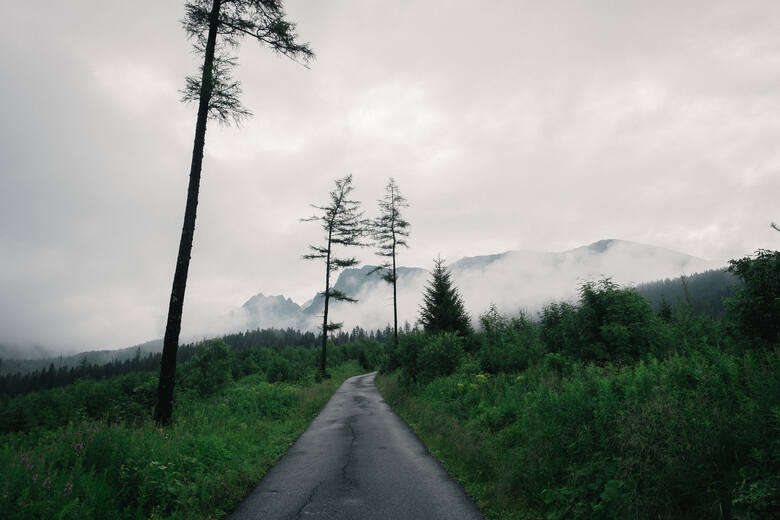Tatry skryte za mgłą, podziwiane podczas wędrówki w góry