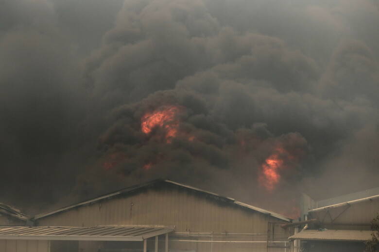 Pożar w Chile. Coraz więcej ofiar wśród ludzi