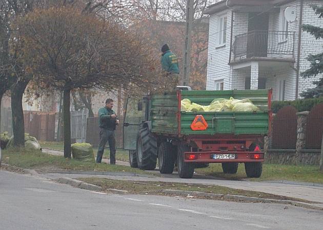 Akcja zbierania worków z liśćmi z ulic Zgierza zakończyła się, pozostało jeszcze uprzątnięcie dzikich składowisk.