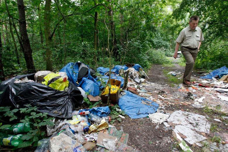 Śmieci w lasach nadal dużym problemem na Podkarpaciu. "To wstydliwy problem społeczny, z którym należy walczyć"