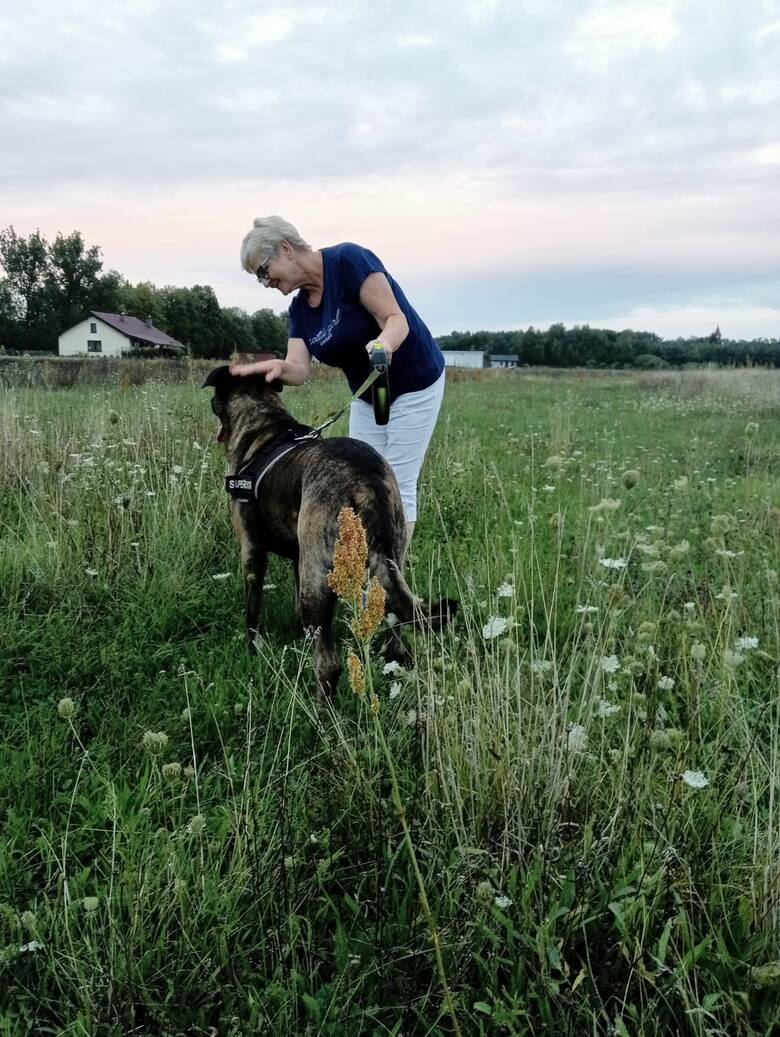 Pani Halina z psem siostrzenicy - Psikusem, na jednej z rojewickich łąk w gminie Rojewo.