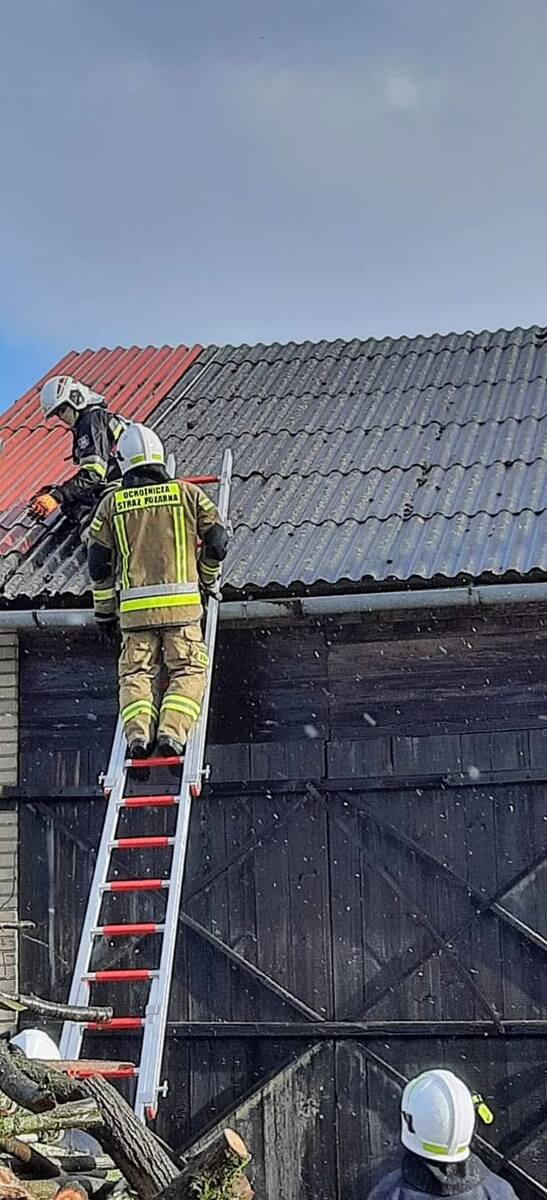 Strażacy walczą ze skutkami silnego wiatru na Lubelszczyźnie