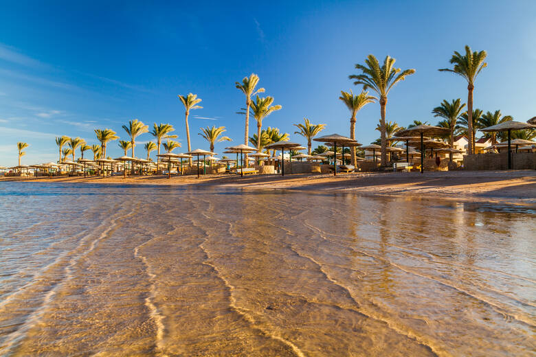 Piaszczysta plaża i palmy w Egipcie