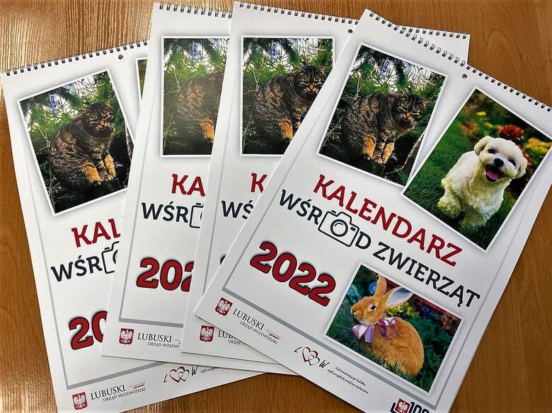 Nietypowy kalendarz z wizerunkami swoich domowych pupili stworzyli także pracownicy Lubuskiego Urzędu Wojewódzkiego.