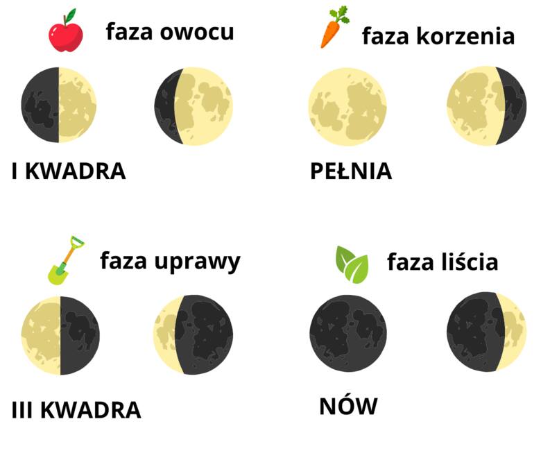 Kwadry Księżyca wyznaczają okresy prac ogrodniczych. Zostały one symboliczne nazwane fazą (kwadrą) owocu, korzenia, uprawy i liścia.