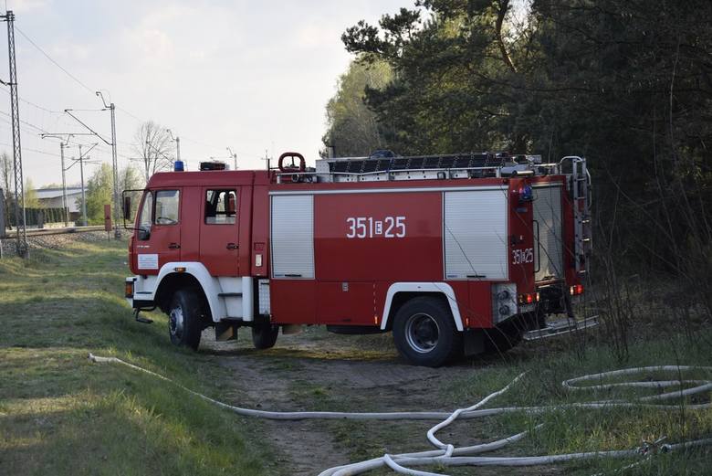 Zapalił się las na skierniewickim poligonie. Ogień gasili strażacy z Państwowej Straży Pożarnej i Ochotniczej Straży Pożarnej w Skierniewicach, a także strażacy z OSP Maków. Z pomocą śpieszyła również OSP z Mokrej Lewej.