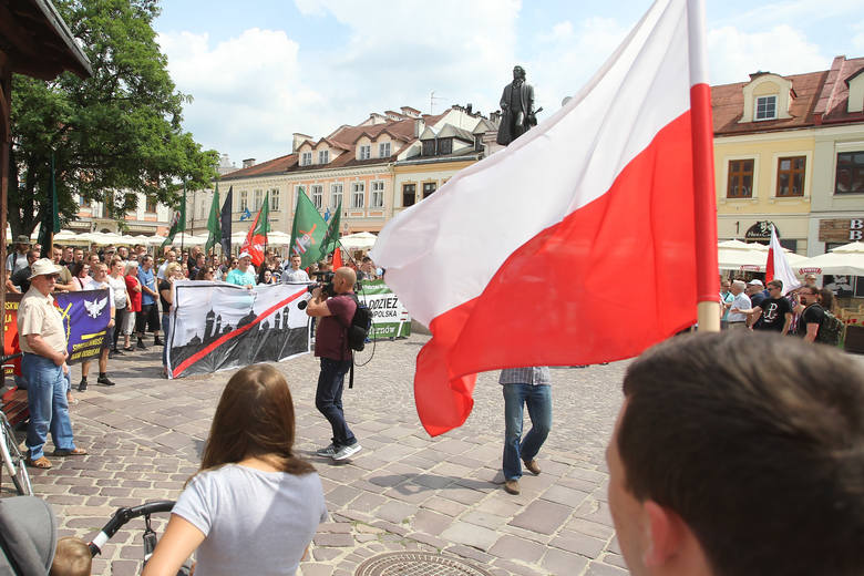 Narodowcy wykrzykiwali hasła przeciw imigrantom i przeciw prezydentowi Rzeszowa, natomiast manifestacja KOD-u odbywała się w milczeniu. Jej uczestnicy trzymali egzemplarze konstytucji. <br /> 