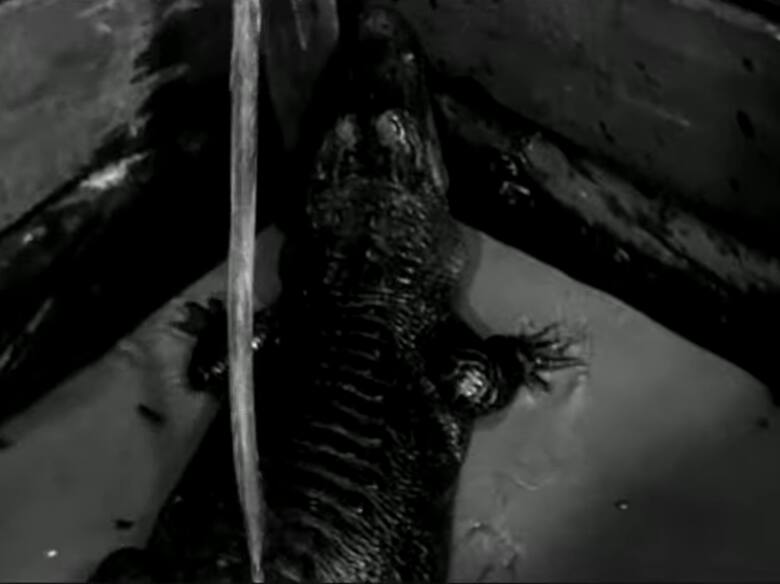Marta jako aligator Herman w filmie "Hydrozagadka".