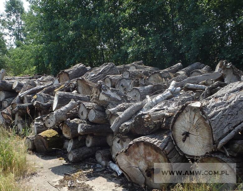 Pakiet zawierający 292,88 m3, w tym: drewno opałowe liściaste – 75,01 m3, drewno opałowe mieszane – 217,87 m3Link do oferty
