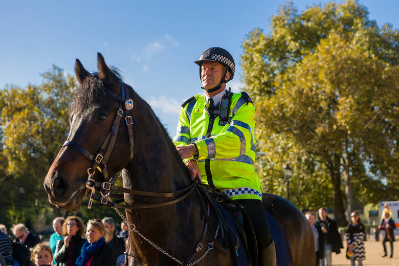 <strong>Policja - konie</strong><br /> <br /> Konie z w policji pracują przy:<br /> <br /> - służbie patrolowej<br /> - zabezpieczaniu imprez masowych<br /> - przywracaniu ładu i porządku publicznego<br /> - jako środek przymusu bezpośredniego <br />  <br />  
