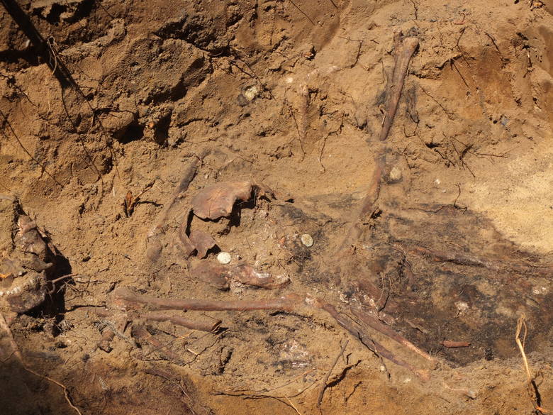 Przedstawiciele Pracowni Badań Historycznych i Archeologicznych Pomost z Poznania zbadali dokładnie dwie mogiły. Znaleźli nie tylko kości, ale także pozostałości mundurów.