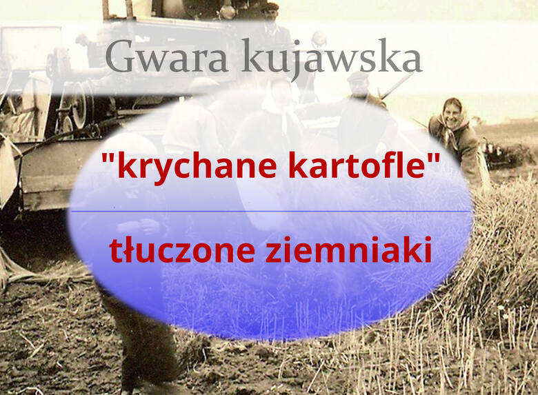Gwara kujawska - tak mówiono kiedyś na Kujawach. Jest podobna do gwary poznańskiej [2.07.2024 r.]