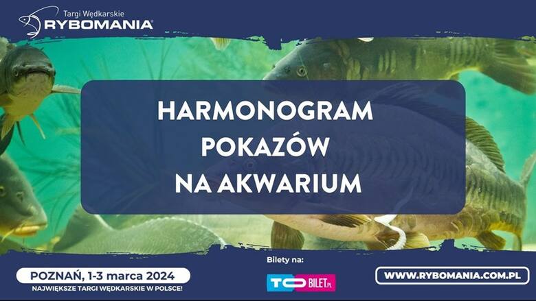 Na terenie Międzynarodowych Targów Poznańskich trwają targi Rybomania 2024