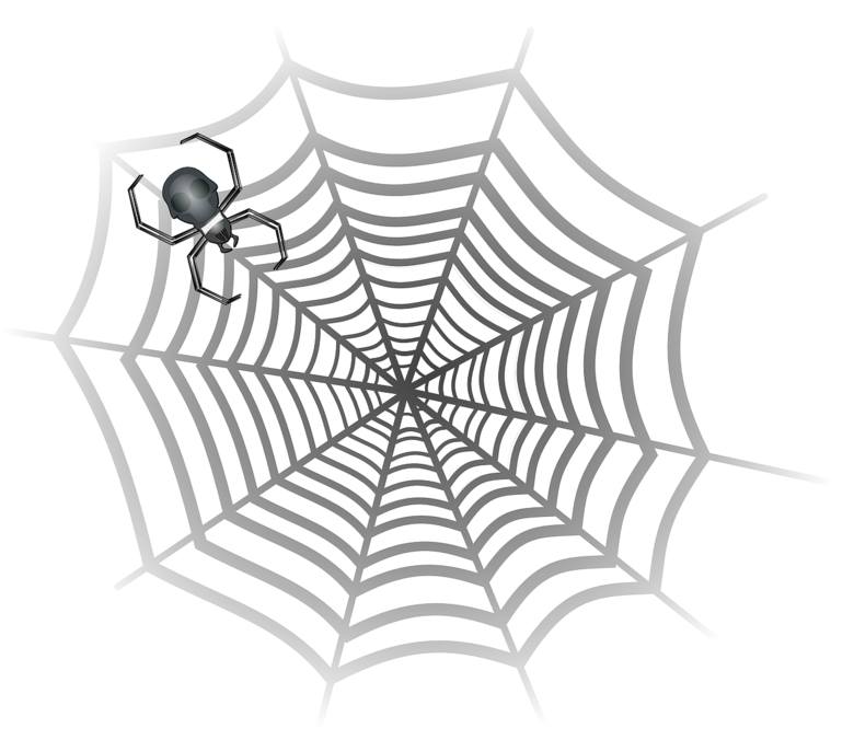arachnofobia, pająk, pajęczyna, lęk przed pająkami