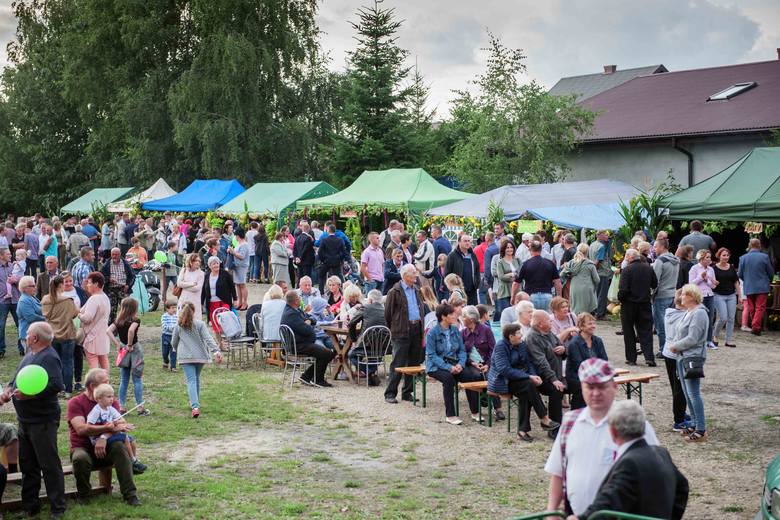 Dożynki gminy Widawa ZDJĘCIA - Dzienniklodzki.pl