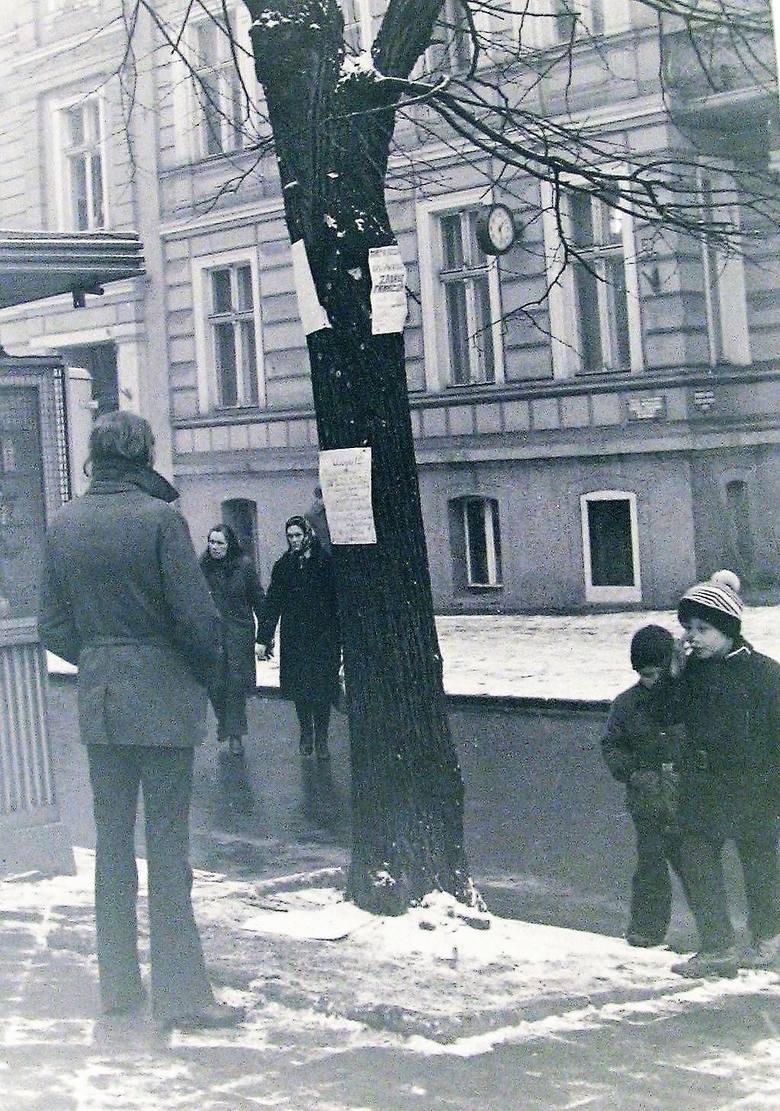 Lipy na skraju al. Wojska Polskiego prze dworcem PKP jako słupy ogłoszeniowe w 1973 roku