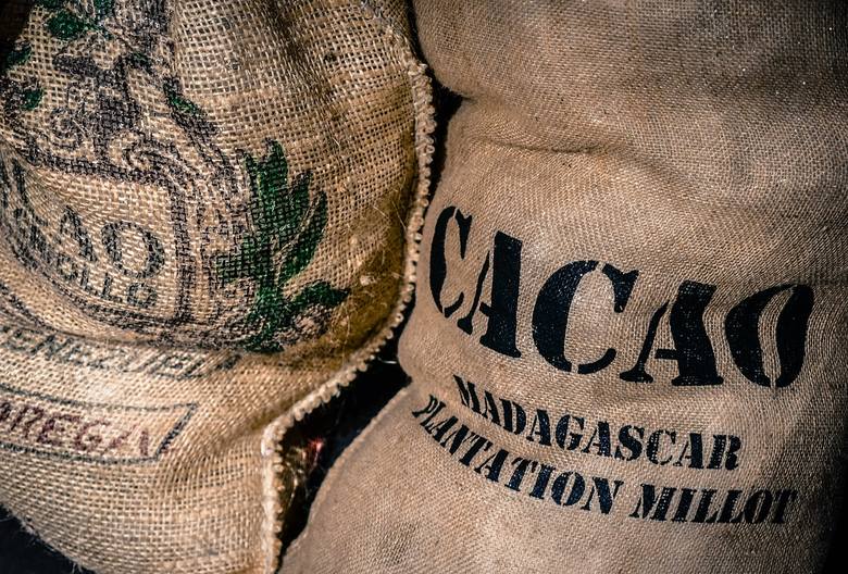 Ciekawostką jest fakt, że w Europie kakao trafiło głównie na królewskie dwory.