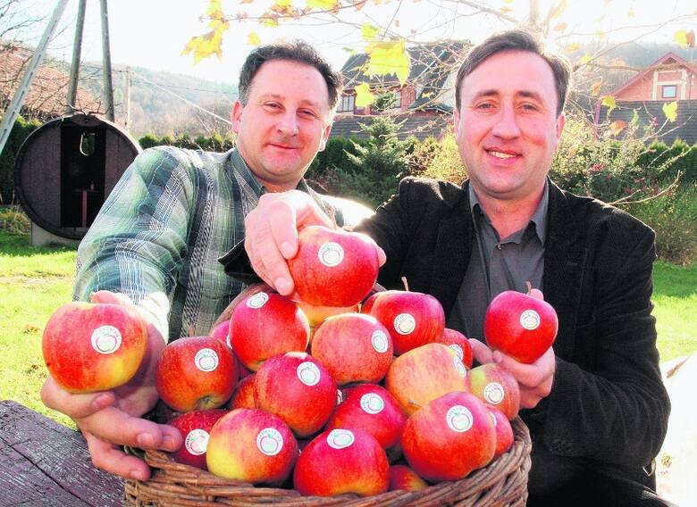 Krzysztof Maurer (z lewej) i Janusz Klag przekonują, że jabłko łąckie to są wyjątkowe