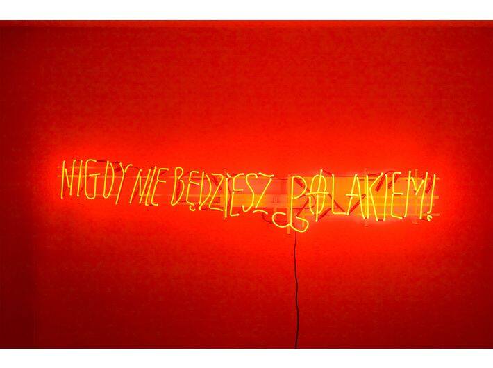 Nigdy nie będziesz Polakiem!, 2007, neon, 40 × 170 × 15 cm, courtesy H. Czerepok