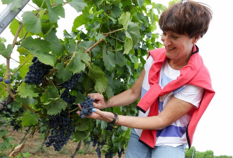 Elżbieta Anna Polak: Winnice to tradycja, ale także nasza przyszłość
