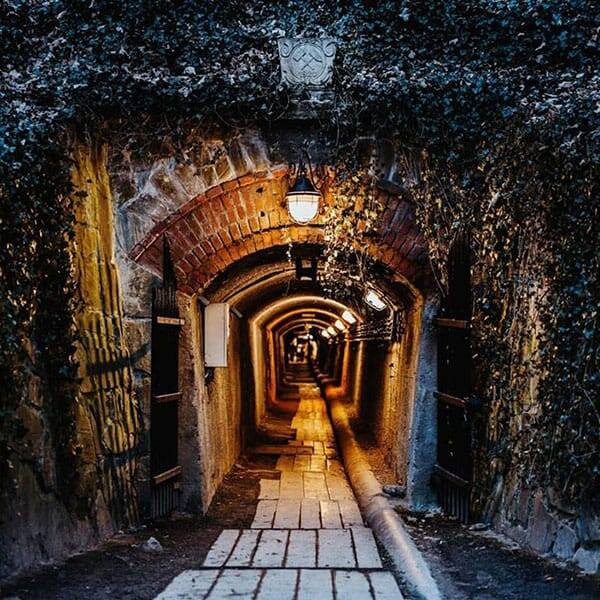 W kopalni złota w Złotym Stoku można podziwiać jedyny w Polsce podziemny wodospad, pływać łodzią po podziemiach i płukać złoto oraz odlewać z niego